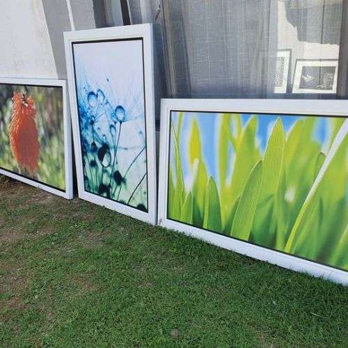 Massive Paintings - Framed Prints