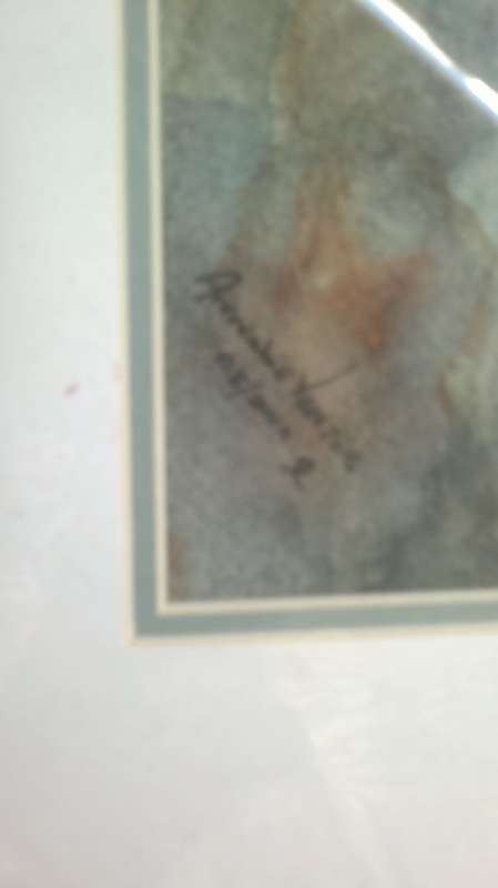 stunning watercolor painting signed by artist