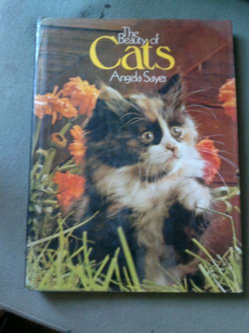 THE BEAUTY OF CATS BY ANGELA SAYER BIG BOOK