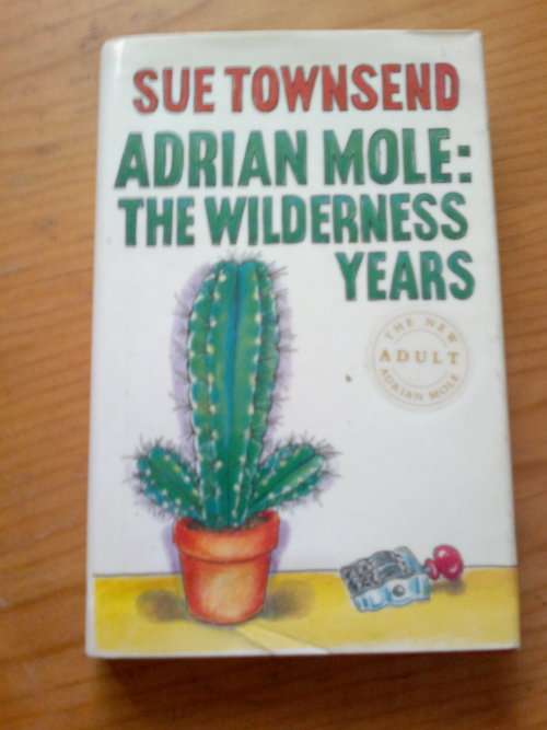 SUE TOWNSEND ADRIAN MOLE:THE WILDERNESS YEARS