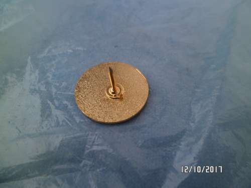 US Navy Logo Pin