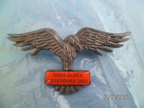 SOOS BLOED SLEEPOVER 2013 BADGE