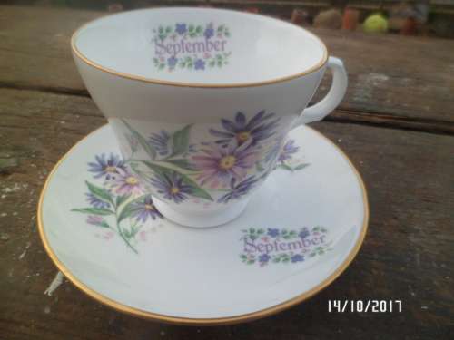 THIS IS FOR THAT SPECIAL SEPTEMBER BIRTHDAY'S ;)FINE BONE CHINA CROWN TRENT