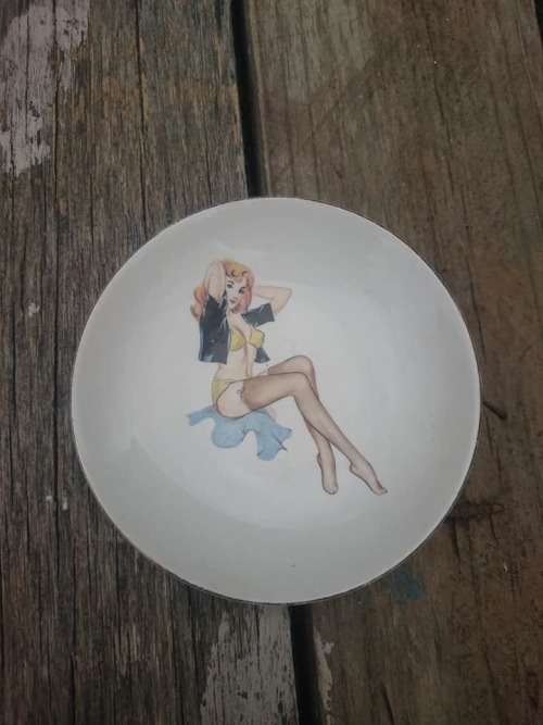 Nice small vintage collectors plate