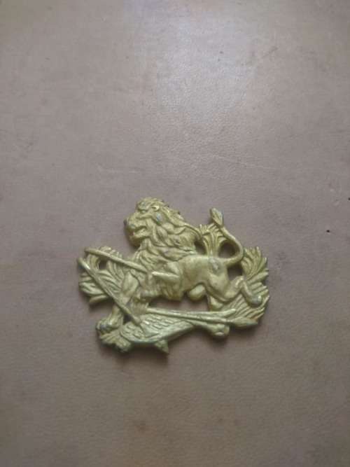 RHODESIA BSAP BADGE
