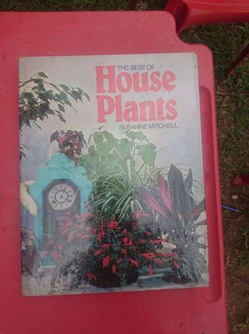 THE BEST OF HOUSE PLANTS BY SUSANNE MITCHELL