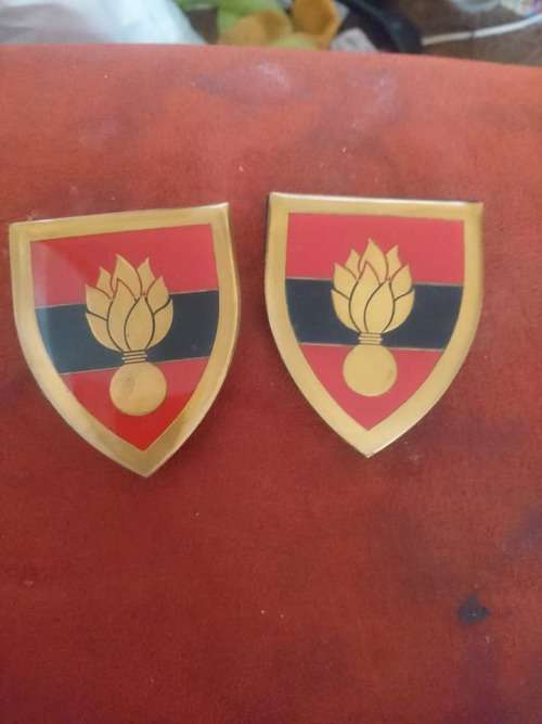 pair Engineer school  badges.3 pins intact
