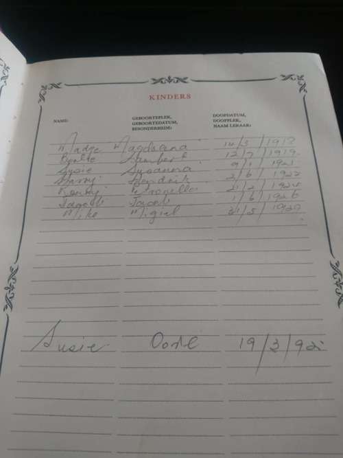 WOW STUNNING BIG FAMILY BIBLE IN AFRIKAANS DATES 1953 WITH DU PLESSIS FAMILY TREE 19cm x 6cm x 28cm