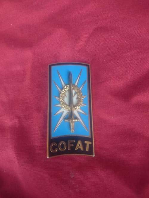Insigne Broche Badge Pucelle Cofat Formation Armee Terre Martineau G4051
