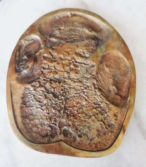 RARE!!!!Brass B.W. Genis  RHINOCEROS  Foot Print - See Description