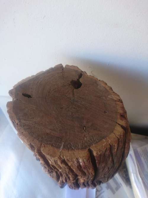 WOW!!! DR RON VAN ZYL - INDIGENOUS HARDWOOD CARVING (Prophet) - AWESOME INVESTMENT ART!!!!