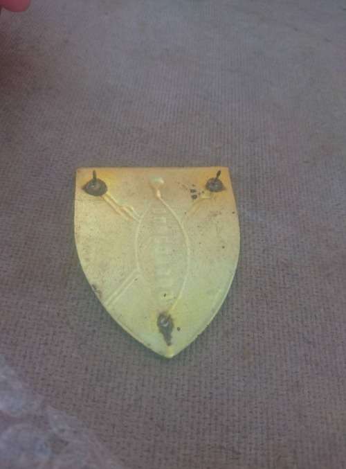 Transkei Defence Force shoulder flash,pins intact