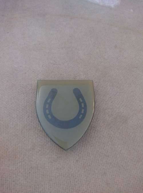 One Mounted Battalion of the Transkei Defece Force flash all pins in tack