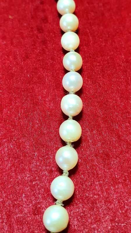 PEARL NECKLACE . 51 CM LONG. 66 PEARLS. 6 mm DIAMETER AVG.