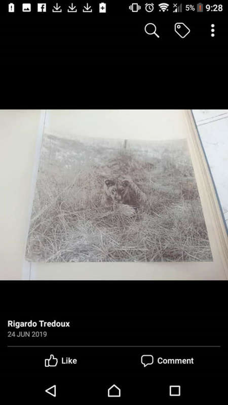 Antique photo album with original photos
