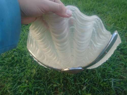 ART DECO SHELL SHAPED CEILING LIGHT.