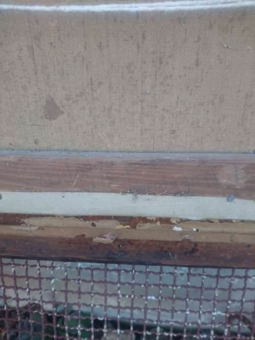 ANTIQUE PAINTING NEED REPAIR