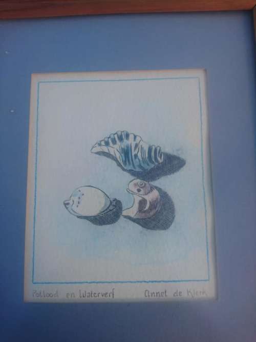 lovely set of framed shell watercolor paintings