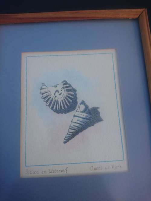 lovely set of framed shell watercolor paintings