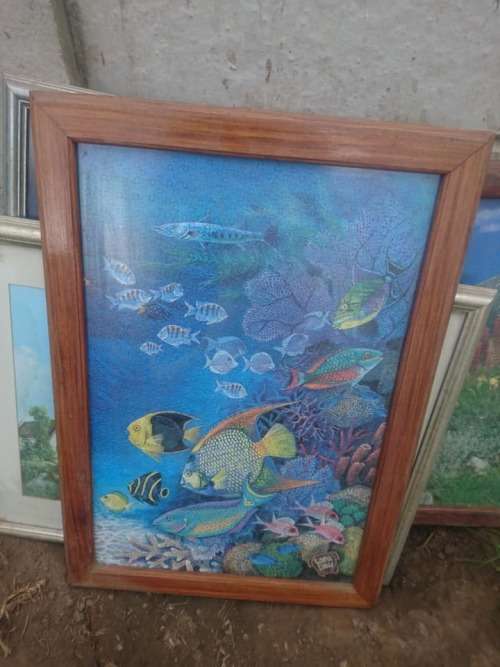 large framed puzzle,collect in Robertson