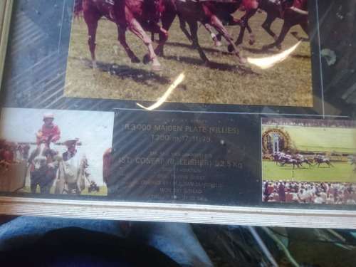 HORSE RACING MEMORABILIA