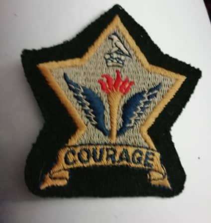 Zimbabwe school blazer badge
