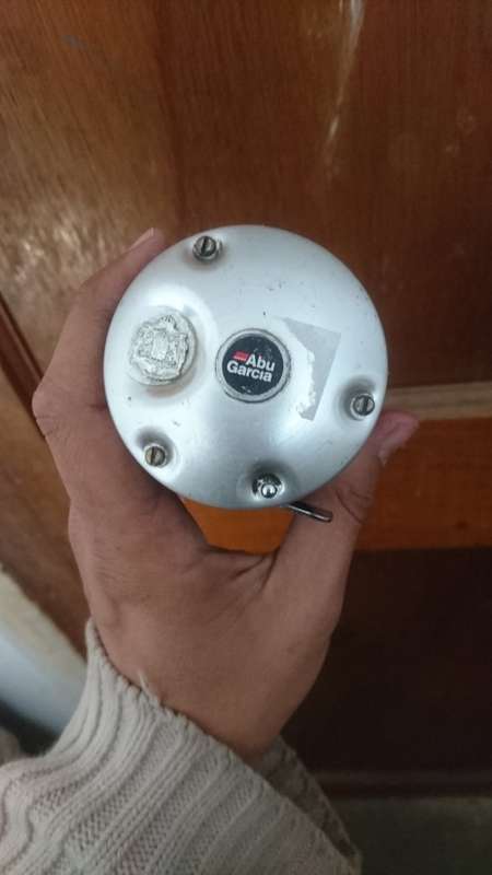 Abu Garcia Ambassadeur 5500 reel