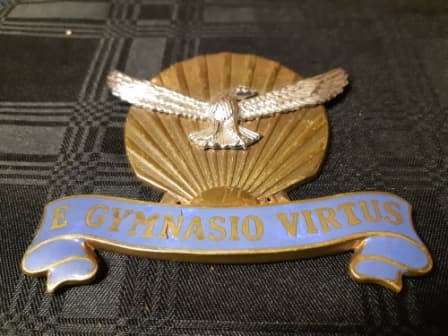 E GYMNASIO VIRTUS SOUTH AFRICAN AIR FORCE EMBLEM