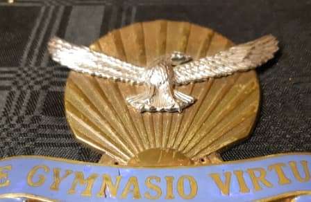 E GYMNASIO VIRTUS SOUTH AFRICAN AIR FORCE EMBLEM