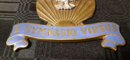 E GYMNASIO VIRTUS SOUTH AFRICAN AIR FORCE EMBLEM