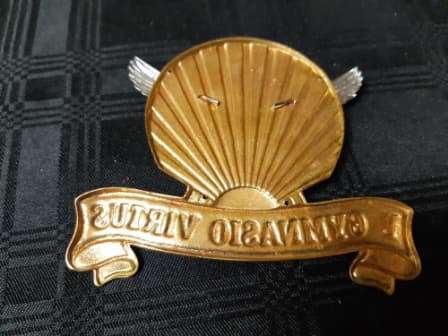 E GYMNASIO VIRTUS SOUTH AFRICAN AIR FORCE EMBLEM