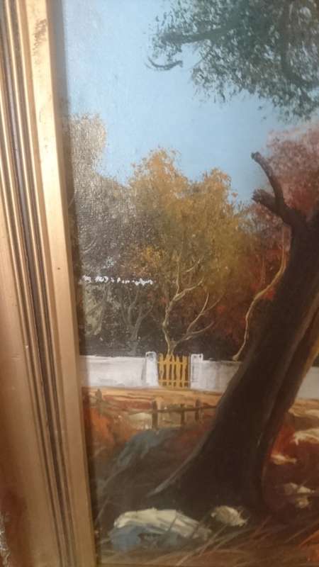 Lovely P.Wise framed oil on board,signed bottom right  A LISTED ARTIST 49cm x 59cm