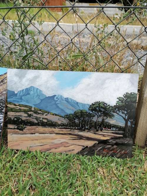 Stunning brian Neumann unframed painting 40cm x 26cm