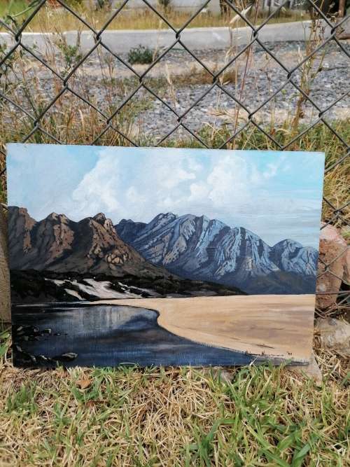 Stunning brian Neumann unframed painting 35cm x 25cm