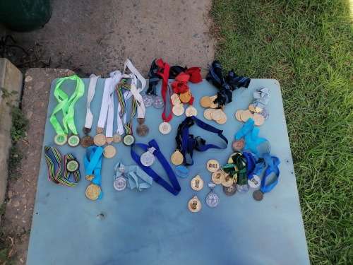 Huge collection of military sport related medals