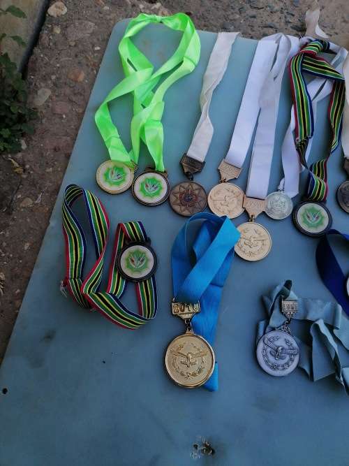 Huge collection of military sport related medals
