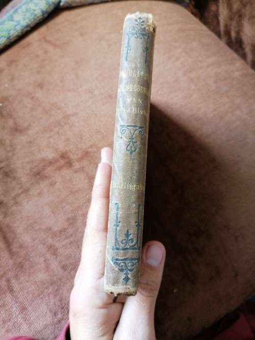 Nagelaten leerdernen van Johannes Gerhardus olivier 1889