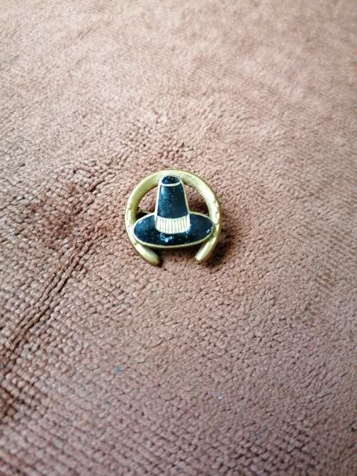 lucky horse shoe brooch