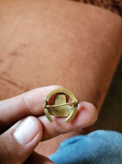 lucky horse shoe brooch