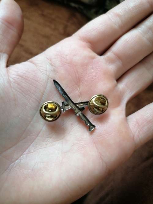 SWA Territorial forces collar badges x 4 -bid per item