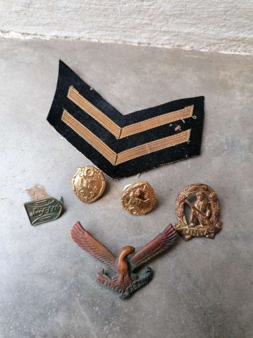 Military badges lot
