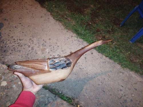 Wooden carvings