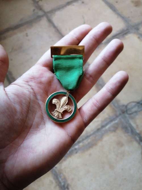 Boy scouts medal