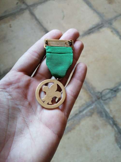 Boy scouts medal