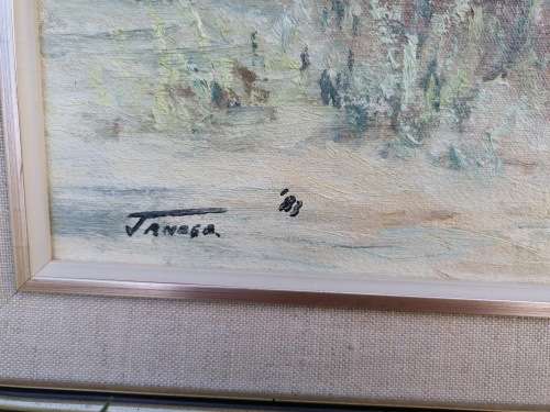 PETER JANDER - RENOWNED SOUTH AFRICAN ARTIST ORIGINAL FRAMED OIL ON CANVAS - SIGNED