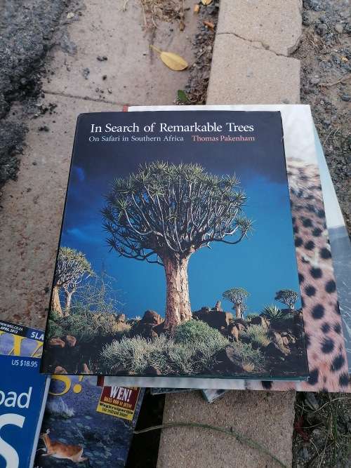In Search of Remarkable On Safari In Southern Africa