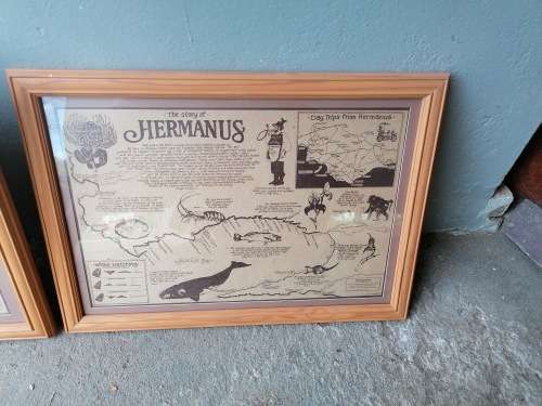 Framed hermanus pictures