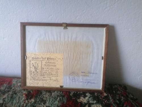 Miniature Drawing Painting Papyrus Pesci Centro Del Papiro Siracusa Italy with certificate