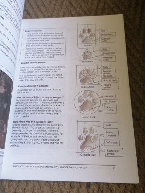 integrated livestock predator management a farmer`s guide