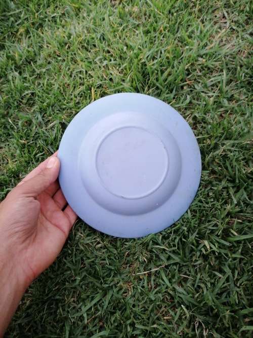wedgewood 1793-1973 plate